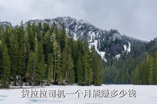 中山跑貨拉拉多少錢一公里,跑貨拉拉用什么車好