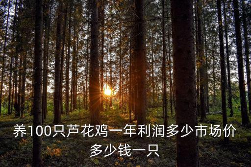 養100只蘆花雞一年利潤多少市場價多少錢一只