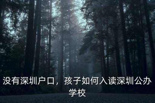 沒有深圳戶口，孩子如何入讀深圳公辦學(xué)校
