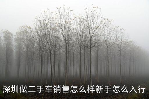 深圳做二手車銷售怎么樣新手怎么入行