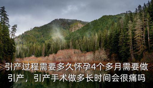 徐州引產(chǎn)手術(shù)需要多少時(shí)間,引產(chǎn)手術(shù)做多長(zhǎng)時(shí)間
