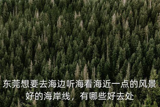 人在東莞怎么去海邊玩,暑假想帶孩子去海邊趕海