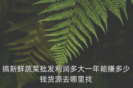 搞新鮮蔬菜批發利潤多大一年能賺多少錢貨源去哪里找
