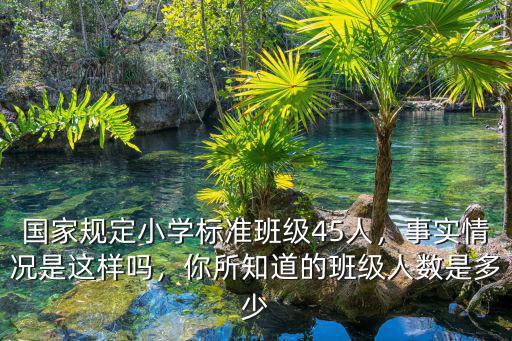 廣州小學(xué)一個(gè)班規(guī)定多少人,國家規(guī)定小學(xué)標(biāo)準(zhǔn)班級45人