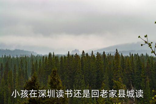 小孩在深圳讀書還是回老家縣城讀