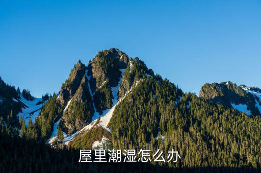 屋里潮濕怎么辦