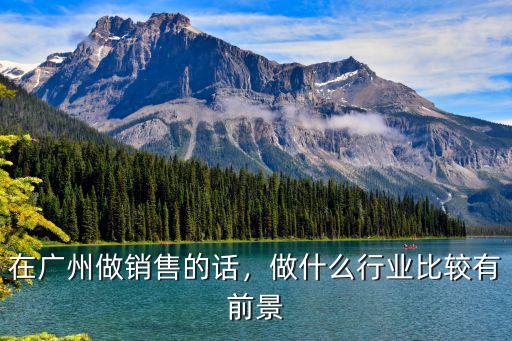 在廣州做銷售的話，做什么行業比較有前景