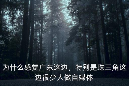 為什么感覺廣東這邊，特別是珠三角這邊很少人做自媒體