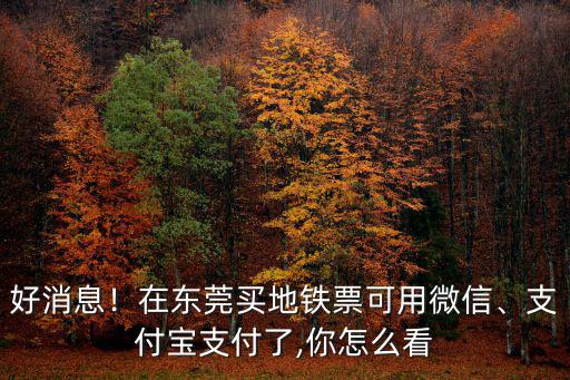 東莞地鐵用手機(jī)怎么支付,東莞人坐地鐵可以掃碼支付了