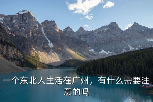 東北人在廣東一直出汗怎么辦,東北人在廣東發展怎么樣