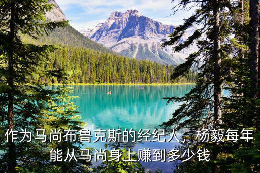 作為馬尚布魯克斯的經(jīng)紀(jì)人，楊毅每年能從馬尚身上賺到多少錢