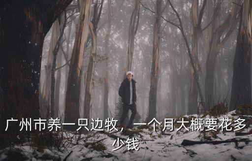 廣州市養一只邊牧，一個月大概要花多少錢