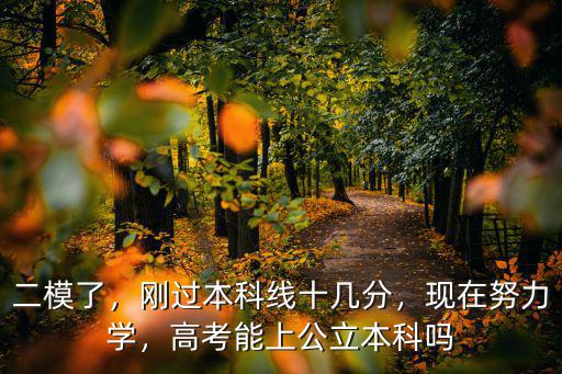 二模了，剛過本科線十幾分，現(xiàn)在努力學，高考能上公立本科嗎