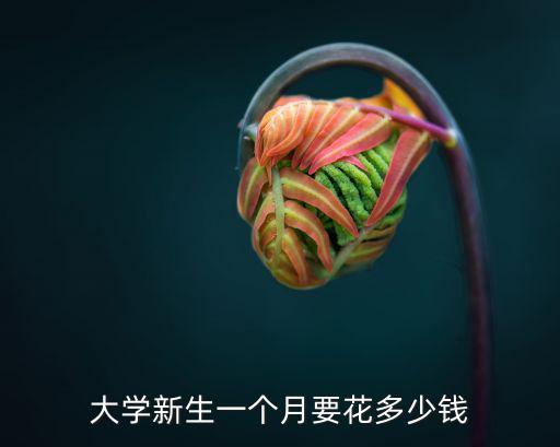 在杭州讀書要多少錢一月,大學新生一個月要花多少錢