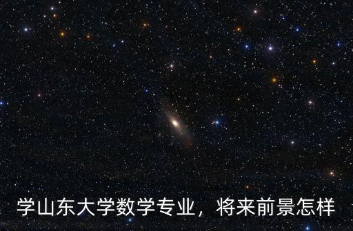 學(xué)山東大學(xué)數(shù)學(xué)專業(yè)，將來前景怎樣