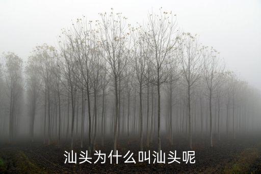 汕頭為什么叫汕頭呢