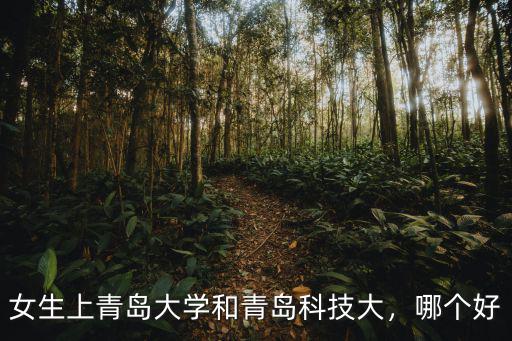 青島科技大學(xué)多少A類,青島科技大學(xué)和山東科技大學(xué)