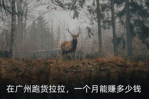 在廣州跑貨拉拉，一個(gè)月能賺多少錢(qián)
