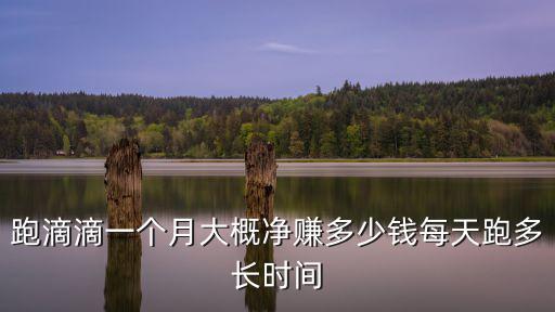 在深圳跑順風車一個月多少錢,跑滴滴一個月大概凈賺多少錢
