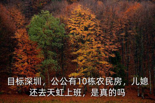 整個深圳有多少棟農民房,公公有10棟農民房