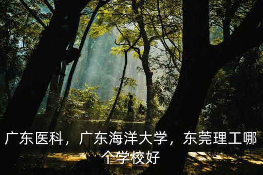 東莞哪里本科學校比較好,山西大學和東莞理工學院