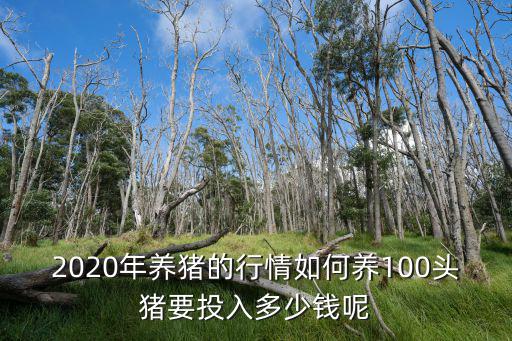 2020年養豬的行情如何養100頭豬要投入多少錢呢