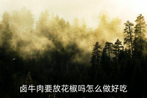 湛江鹵牛肉怎么做好吃,鹵過的牛肉怎么做好吃