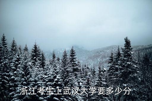 湖北大學在浙江招多少分錄取分數線,湖北與浙江哪里容易考上大學
