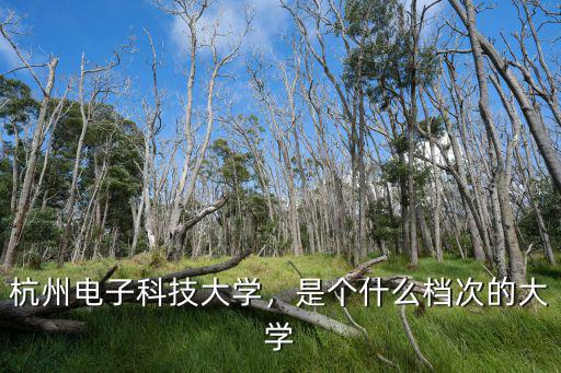 杭州電子科技大學東岳校區有多少人,杭州電子科技大學