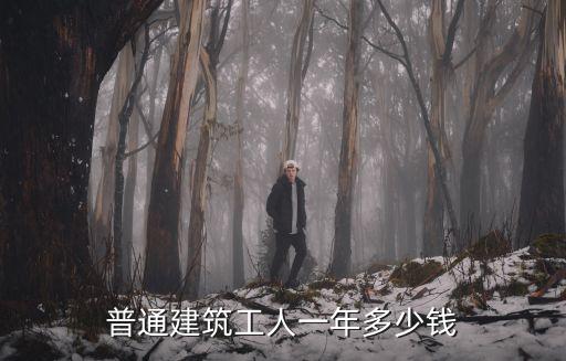 溫州建筑小工多少錢一天,普通建筑工人一年多少錢