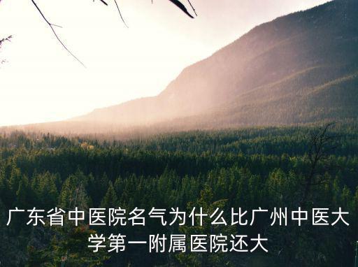 廣東省中醫廖烈輝醫生怎么樣,廣州中醫藥大學怎么樣