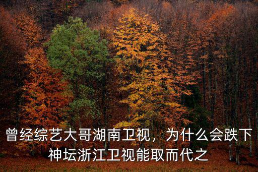 曾經綜藝大哥湖南衛視，為什么會跌下神壇浙江衛視能取而代之