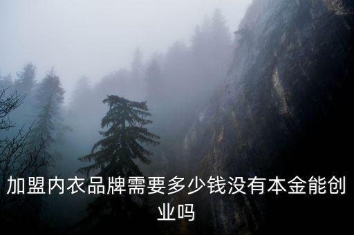 肇慶胸罩加盟多少錢,加盟內衣品牌需要多少錢