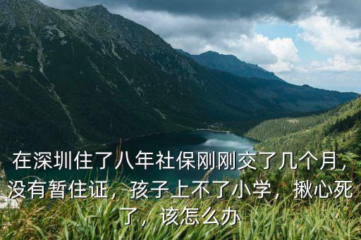 孩子在深圳讀小一太難了怎么辦,孩子一直在深圳讀小學