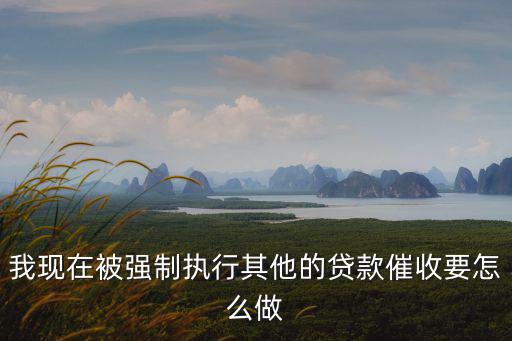 我現在被強制執行其他的貸款催收要怎么做