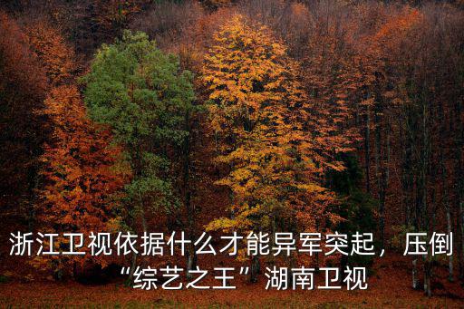 浙江衛視價值多少億,如何評價浙江衛視