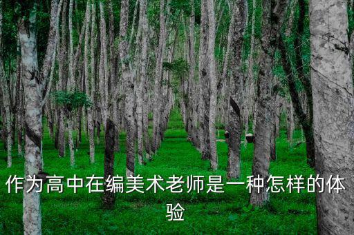 作為高中在編美術(shù)老師是一種怎樣的體驗(yàn)