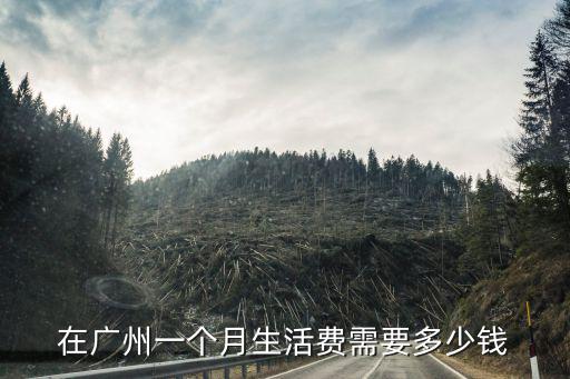 在廣州一個(gè)月生活費(fèi)需要多少錢