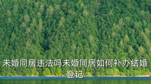 深圳未婚同居結婚證怎么處理,未婚同居違法嗎