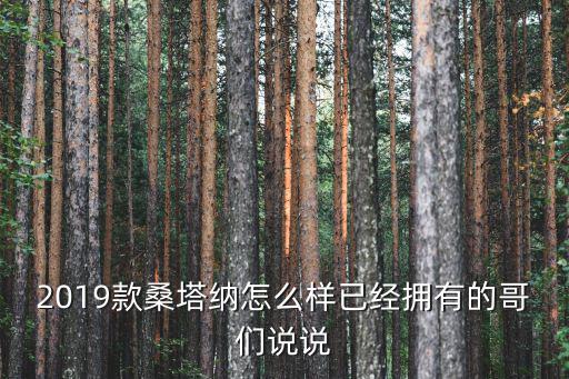 深圳19款桑塔納優惠多少,2019款桑塔納怎么樣