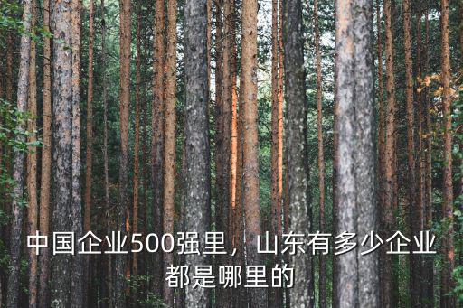 山東多少家中國500強,山東有多少企業