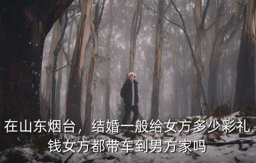 在山東煙臺，結(jié)婚一般給女方多少彩禮錢女方都帶車到男方家嗎