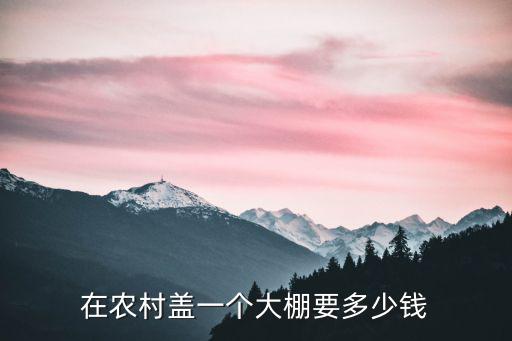 濟南農村連棟大棚多少錢,需要投資多少錢