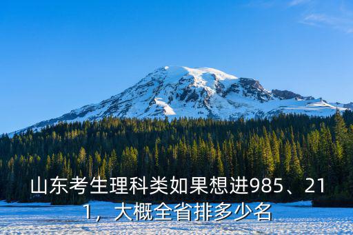 理科397分山東排多少名,大概全省排多少名