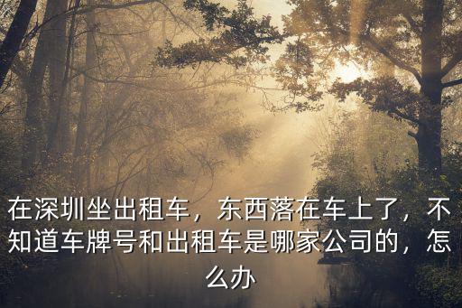 在深圳的士上丟東西了怎么找,在深圳坐出租車