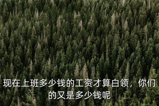 深圳多少錢工資全白領,地攤經濟秒殺深圳白領