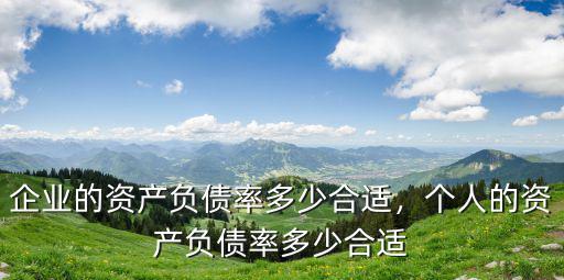 廣東負債有多少合適,企業的資產負債率多少合適