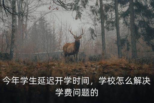 今年學(xué)生延遲開學(xué)時間，學(xué)校怎么解決學(xué)費問題的