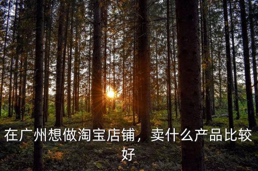 在廣州想做淘寶店鋪，賣什么產品比較好