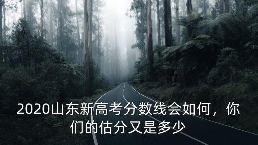 2020山東新高考分數線會如何，你們的估分又是多少